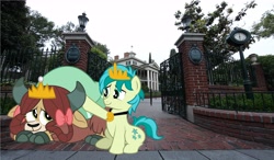 Size: 6872x4000 | Tagged: safe, artist:aleximusprime, artist:disneymarvel96, edit, character:sandbar, character:yona, species:pony, ship:yonabar, comforting, crown, disney, disneyland, evil queen, female, haunted mansion, irl, jewelry, male, necklace, photo, ponies in real life, regalia, scared, shell, shipping, straight, the haunted mansion, ursula, vector, vector edit