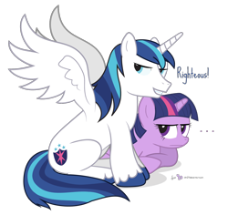 Size: 1380x1300 | Tagged: safe, artist:dm29, character:shining armor, character:twilight sparkle, species:alicorn, species:pony, alicornified, brother and sister, colored hooves, duo, female, male, male alicorn, prince shining armor, race swap, righteous, simple background, spread wings, stallion, transparent background, unamused, wings