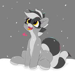 Size: 3467x3301 | Tagged: safe, artist:pabbley, oc, oc:bandy cyoot, species:pony, happy, heart, hybrid, open mouth, pale belly, raccoon, raccoon pony, sitting, snow, snowfall, solo, tongue out, winter