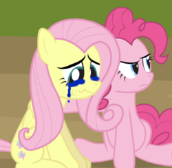 Size: 422x413 | Tagged: safe, artist:dm29, edit, editor:gooeybird, character:fluttershy, character:pinkie pie, species:earth pony, species:pegasus, species:pony, angry, cropped, crying, feeling down, injured, sitting, upset, wavy mouth