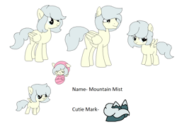 Size: 1108x810 | Tagged: safe, artist:dudleybrittany1399, artist:selenaede, base used, oc, oc only, oc:mountain mist (ice1517), parent:misty fly, parent:surprise, parents:mistyprise, species:pegasus, species:pony, icey-verse, baby, baby pony, eyes closed, female, filly, magical lesbian spawn, male, mare, offspring, raised hoof, reference sheet, rule 63, simple background, solo, stallion, white background