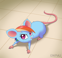 Size: 1000x933 | Tagged: safe, artist:empyu, character:rainbow dash, cute, female, looking at each other, looking at someone, looking at something, looking at you, mousified, rainbow mouse, raised eyebrow, rat, rodent, solo, species swap