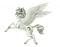 Size: 1400x1098 | Tagged: safe, artist:baron engel, oc, oc only, oc:caldera, species:pegasus, species:pony, goggles, grayscale, monochrome, pencil drawing, simple background, solo, traditional art, white background
