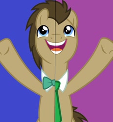Size: 1280x1388 | Tagged: safe, artist:cloudyglow, artist:disneymarvel96, edit, character:doctor whooves, character:time turner, episode:a horse shoe-in, g4, my little pony: friendship is magic, bow tie, male, necktie, side by side, solo, vector, vector edit