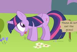 Size: 940x630 | Tagged: safe, artist:dm29, edit, character:twilight sparkle, character:twilight sparkle (alicorn), species:alicorn, species:pony, copyright, female, frown, fuck the police, grass, grazing, herbivore, horses doing horse things, keep off the grass, looking back, mare, open mouth, pure unfiltered evil, secret shame, sign, silly, silly pony, solo, wide eyes