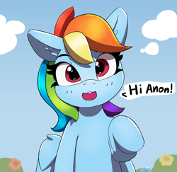 Size: 1880x1830 | Tagged: safe, artist:pabbley, part of a set, character:rainbow dash, species:pegasus, species:pony, g4, cute, dashabetes, dialogue, female, hi anon, implied anon, looking at you, mare, meme, solo, speech bubble