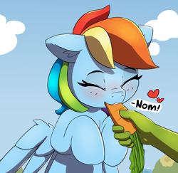 Size: 1880x1830 | Tagged: safe, artist:pabbley, part of a set, character:rainbow dash, oc, oc:anon, species:pegasus, species:pony, blushing, carrot, cute, dashabetes, disembodied hand, eating, feeding, food, hand, herbivore, hooves to the chest, horses doing horse things, offscreen character, offscreen human