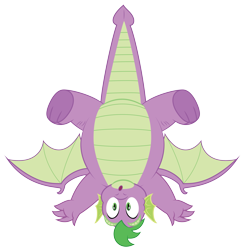 Size: 5133x5228 | Tagged: safe, artist:aleximusprime, character:spike, species:dragon, g4, adult, adult spike, chubby, fat, fat spike, looking at you, male, older, older spike, open mouth, simple background, solo, transparent background, winged spike