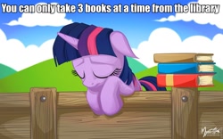 Size: 960x600 | Tagged: safe, artist:mysticalpha, character:twilight sparkle, book, cloud, cloudy, eyes closed, female, fence, first world problems, floppy ears, hill, image macro, library, sad, sky, solo