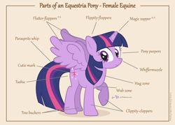 Size: 1050x750 | Tagged: safe, artist:dm29, character:twilight sparkle, character:twilight sparkle (alicorn), species:alicorn, species:pony, anatomy, anatomy chart, anatomy guide, bellyrubs, chart, cute, cutie mark, diabetes, ears, english, eye, eyes, female, female equine, figure, hooves, horn, hug, julian yeo is trying to murder us, looking at you, mare, muzzle, parts of an equestria pony, plot, raised hoof, science, simple background, smiling, solo, spread wings, tail, text, twiabetes, winged unicorn, wings, wub
