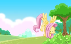Size: 1280x800 | Tagged: safe, artist:mysticalpha, character:fluttershy, female, solo, wallpaper