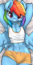 Size: 506x1000 | Tagged: safe, artist:atryl, character:rainbow dash, species:anthro, species:pegasus, species:pony, armpits, belly button, body pillow, body pillow design, chest fluff, clothing, colored eyelashes, female, hot pants, midriff, rainbow lashes, shorts, solo, tank top