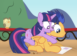 Size: 1050x770 | Tagged: safe, artist:dm29, character:flash sentry, character:owlowiscious, character:twilight sparkle, character:twilight sparkle (alicorn), species:alicorn, species:pony, ship:flashlight, book, female, male, mare, reading, shipping, sitting on, straight