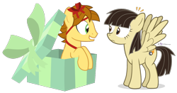 Size: 1050x550 | Tagged: safe, artist:dm29, character:wild fire, oc, oc:mandopony, birthday, bow, eye contact, female, frown, grin, male, mandofire, present, ribbon, shipping, sibsy, simple background, smiling, spread wings, straight, surprised, transparent background, wide eyes, wingboner, wings
