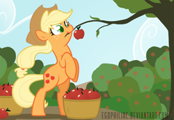 Size: 1800x1238 | Tagged: safe, artist:egophiliac, character:applejack, species:earth pony, species:pony, g4, apple, colored pupils, female, mare, mouth hold, rearing, tree