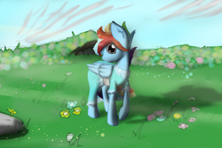 Size: 500x333 | Tagged: safe, artist:marsminer, character:rainbow dash, commission, rainbow blitz, rule 63, solo