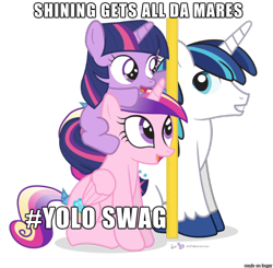 Size: 610x598 | Tagged: safe, artist:dm29, edit, character:princess cadance, character:shining armor, character:twilight sparkle, exploitable meme, image macro, meme, op is a duck, shining armor gets all the mares, simple background, transparent background, trio, yolo