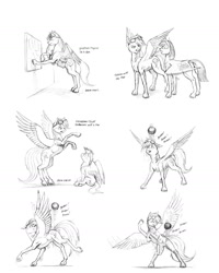 Size: 1152x1440 | Tagged: safe, artist:baron engel, character:rainbow dash, oc, oc:sky brush, species:pony, ball, bipedal, bouncing, monochrome, open mouth, pencil drawing, rearing, sitting, smiling, spread wings, story in the source, traditional art, wings