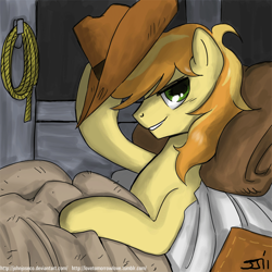 Size: 900x899 | Tagged: safe, artist:johnjoseco, character:braeburn, species:earth pony, species:pony, g4, adobe imageready, clothing, hat, lasso, looking at you, male, morning ponies, pillow, rope, smiling, solo, stallion