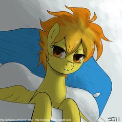 Size: 900x900 | Tagged: safe, artist:johnjoseco, character:spitfire, species:pegasus, species:pony, g4, adobe imageready, bed, female, looking at you, mare, messy mane, morning ponies, on back, pillow, solo, spread wings, wings