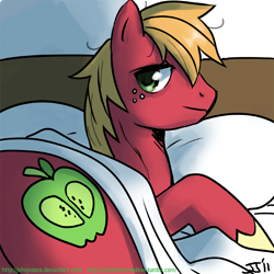 Size: 900x900 | Tagged: safe, artist:johnjoseco, character:big mcintosh, species:earth pony, species:pony, g4, adobe imageready, bed, looking at you, male, missing accessory, morning ponies, pillow, solo, stallion
