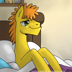 Size: 900x900 | Tagged: safe, artist:johnjoseco, character:carrot cake, species:earth pony, species:pony, g4, adobe imageready, male, morning ponies, pillow, solo, stallion