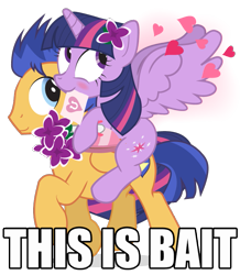 Size: 705x810 | Tagged: safe, artist:dm29, edit, character:flash sentry, character:twilight sparkle, character:twilight sparkle (alicorn), species:alicorn, species:pegasus, species:pony, ship:flashlight, episode:hearts and hooves day, g4, my little pony: friendship is magic, best ship, blushing, bouquet, box, box of chocolates, brony history, carrying, cute, cutie mark, derpibooru history, derpibooru legacy, diasentres, drama bait, eternal thread, female, flower, flower in hair, folded wings, food, happy, heart, holiday, hoof hold, image macro, legendary, letter, lilacs, looking back, looking up, male, mare, meme, meta, mouth hold, ponies riding ponies, raised hoof, riding, shipping, signature, simple background, smiling, spread wings, stallion, straight, the eternal thread, the former eternal thread, the image formerly known as the eternal thread, the image that started zeb's eternal feud with sirbumpaous, thread war, transparent background, trotting, twiabetes, valentine's day, valentine's day card, vector, wall of tags, wings