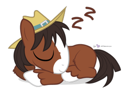 Size: 900x650 | Tagged: safe, artist:dm29, character:trouble shoes, species:earth pony, species:pony, episode:appleoosa's most wanted, g4, my little pony: friendship is magic, clothing, colt, cute, eyes closed, fluffy, hat, little troubleshoes, male, prone, simple background, sleeping, smiling, solo, stallion, transparent background, troublebetes, younger, zzz
