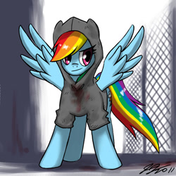 Size: 900x900 | Tagged: safe, artist:johnjoseco, character:rainbow dash, blood, clothing, female, hoodie, hunter, left 4 dead, smiling, smirk, solo, spread wings, wings