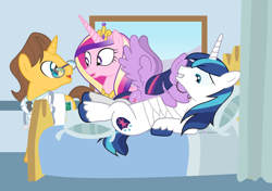 Size: 1080x760 | Tagged: safe, artist:dm29, character:doctor horse, character:doctor stable, character:princess cadance, character:shining armor, character:twilight sparkle, character:twilight sparkle (alicorn), species:alicorn, species:pony, species:unicorn, bandage, bed, female, hospital, hospital bed, hug, mare