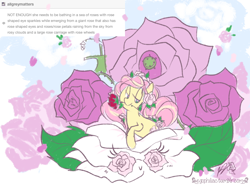 Size: 900x670 | Tagged: safe, artist:egophiliac, species:pony, g3, birthmonth ponies, g3 to g4, generation leap, june rose, rose