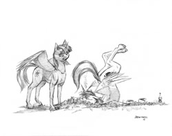Size: 1000x786 | Tagged: safe, artist:baron engel, character:shining armor, character:twilight sparkle, character:twilight sparkle (alicorn), species:alicorn, species:pony, fanfic:a different perspective, alicornified, backbend, bear, crash, face down ass up, faceplant, fanfic art, flying lesson, grayscale, monochrome, pencil drawing, prince shining armor, race swap, traditional art, you're doing it wrong