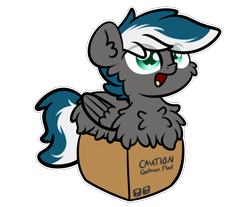 Size: 3250x2688 | Tagged: source needed, safe, artist:kimjoman, oc, oc:thunder breeze, species:pegasus, species:pony, g4, box, fluffy, solo, ych result