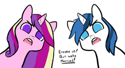 Size: 824x450 | Tagged: safe, artist:mt, edit, character:princess cadance, character:shining armor, species:alicorn, species:pony, species:unicorn, ship:shiningcadance, bust, cadance is not amused, colored pupils, female, male, married, shining armor is not amused, shipping, simple background, straight, unamused, white background