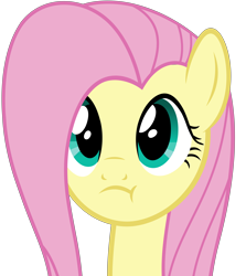 Size: 5114x5744 | Tagged: safe, artist:slb94, character:fluttershy, :t, absurd resolution, female, frown, kek, simple background, solo, transparent background, vector, we bought two cakes