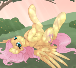 Size: 3000x2661 | Tagged: safe, artist:ratofdrawn, character:fluttershy, species:pegasus, species:pony, bedroom eyes, belly button, blushing, crepuscular rays, cute, dappled sunlight, explicit source, female, innocent, legs in air, looking at you, mare, on back, shyabetes, smiling, solo, spread wings, wings
