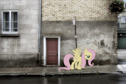Size: 2151x1435 | Tagged: safe, artist:exibrony, artist:slb94, character:fluttershy, character:princess celestia, door, france, irl, obey, photo, ponies in real life, poster, sad, street, street sign, vector, window