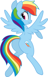 Size: 3797x6000 | Tagged: safe, artist:hidden-cat, artist:slb94, character:rainbow dash, species:pegasus, species:pony, backwards cutie mark, female, hooves, looking back, mare, plot, rainbutt dash, simple background, smiling, smirk, solo, spread wings, transparent background, vector, wings