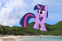 Size: 2100x1400 | Tagged: safe, artist:dashiesparkle, artist:theotterpony, character:twilight sparkle, species:pony, giant pony, giantess, highrise ponies, irl, macro, mega twilight sparkle, photo, ponies in real life, solo, tree, vector