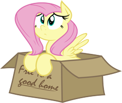Size: 6000x5089 | Tagged: safe, artist:shoutingisfun, artist:slb94, character:fluttershy, species:pony, absurd resolution, box, bronybait, cute, female, free pony, frown, pony in a box, sad, shyabetes, simple background, solo, transparent background