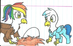 Size: 921x578 | Tagged: safe, artist:cmara, oc, oc only, oc:gren, oc:rainbow feather, parent:gilda, parent:rainbow dash, parents:gildash, species:classical hippogriff, species:griffon, species:hippogriff, species:pony, brother and sister, colt, cute, egg, foal, interspecies offspring, lined paper, magical lesbian spawn, male, offspring, traditional art