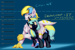 Size: 3600x2400 | Tagged: safe, artist:frist44, oc, oc only, oc:cirrus sky, oc:electro current, species:hippogriff, blushing, cirrent, height difference, height scale, hug, original species, shipping, size difference, talons, winghug
