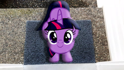 Size: 1920x1080 | Tagged: safe, artist:dashiesparkle, artist:mr-kennedy92, character:twilight sparkle, character:twilight sparkle (alicorn), species:alicorn, species:pony, cute, female, irl, looking at you, looking up, mat, photo, ponies in real life, shadow, smiling, solo, step, stone, twiabetes, vector
