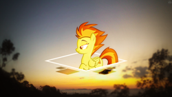 Size: 1920x1080 | Tagged: safe, artist:brainlesspoop, artist:dashiesparkle, character:spitfire, species:pegasus, species:pony, female, glow, irl, mare, missing accessory, photo, raised hoof, simple, solo, sunrise, sunset, tree, vector, wallpaper