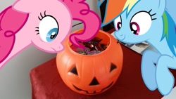 Size: 1046x588 | Tagged: safe, artist:dashiesparkle, artist:luckreza8, artist:thedoubledeuced, character:pinkie pie, character:rainbow dash, bucket, candy, floating, food, halloween, irl, jack-o-lantern, looking in, photo, plastic, ponies in real life, pumpkin, pumpkin bucket, snickers, vector