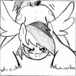 Size: 340x341 | Tagged: safe, artist:dj-black-n-white, character:rainbow dash, species:pegasus, species:pony, comic:tsundere rainbow dash, cropped, face down ass up, female, grayscale, mare, monochrome, solo, spread wings, suggestive series, traditional art, wings