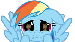 Size: 5031x2833 | Tagged: safe, artist:jhayarr23, character:applejack, character:rainbow dash, episode:grannies gone wild, g4, my little pony: friendship is magic, cute, dashabetes, dawwww, eye reflection, floppy ears, hnnng, puppy dog eyes, rainbow dash is best facemaker, reflection, sad, simple background, transparent background, unamused, vector, weapons-grade cute