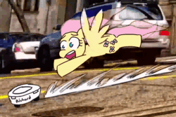 Size: 1500x1000 | Tagged: safe, artist:threetwotwo32232, character:fluttershy, species:pegasus, species:pony, animated, car, chase, city, city escape, crossover, female, floppy ears, flying, frown, irl, mare, music, open mouth, photo, roomba, roombashy, sega, sonic adventure 2, sonic the hedgehog (series), sound, spread wings, street, webm, wide eyes, windswept mane, wings