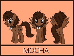 Size: 1129x850 | Tagged: safe, artist:linedraweer, oc, oc only, oc:mocha, species:pegasus, species:pony, collar, commission, female, mare, reference, reference sheet, solo