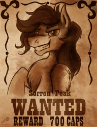 Size: 2042x2671 | Tagged: safe, artist:jamescorck, oc, oc only, species:pegasus, species:pony, fallout equestria, fallout, grin, handsome, male, reward, sketch, smiling, smirk, stallion, the hopeful four, wanted poster, western